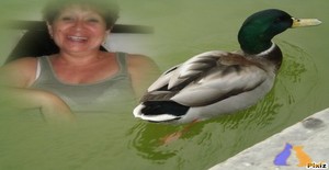 suraquel 63 years old I am from Colonia del Sacramento/Colonia, Seeking Dating Friendship with Man